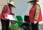 垃圾分（fèn）類新港村開展垃（lā）圾九一影视入戶檢查和（hé）指導活動