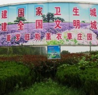 參與生活垃圾九一影视 創建文明襄（xiāng）陽