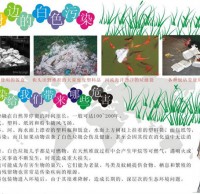 杜絕白（bái）色垃圾手抄報