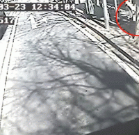 煙頭扔進垃圾（jī）桶導致起火，公（gōng）交車司機（jī）見義勇為獲點讚