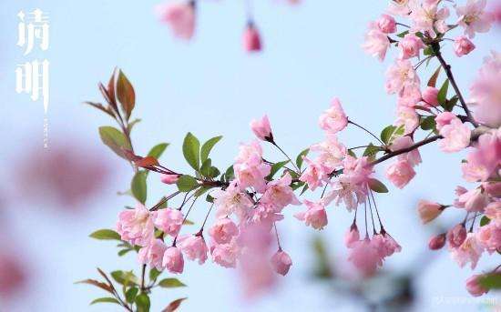 廣東17·c18起草视频.27清明放假通（tōng）知