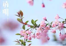 關於廣東17·c18起草视频.27清明放假通（tōng）知