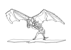 線切（qiē）割“3D蝙（biān）蝠”圖紙免費（fèi）下載