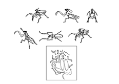 線切（qiē）割螳螂2,線切割圖紙免費下載